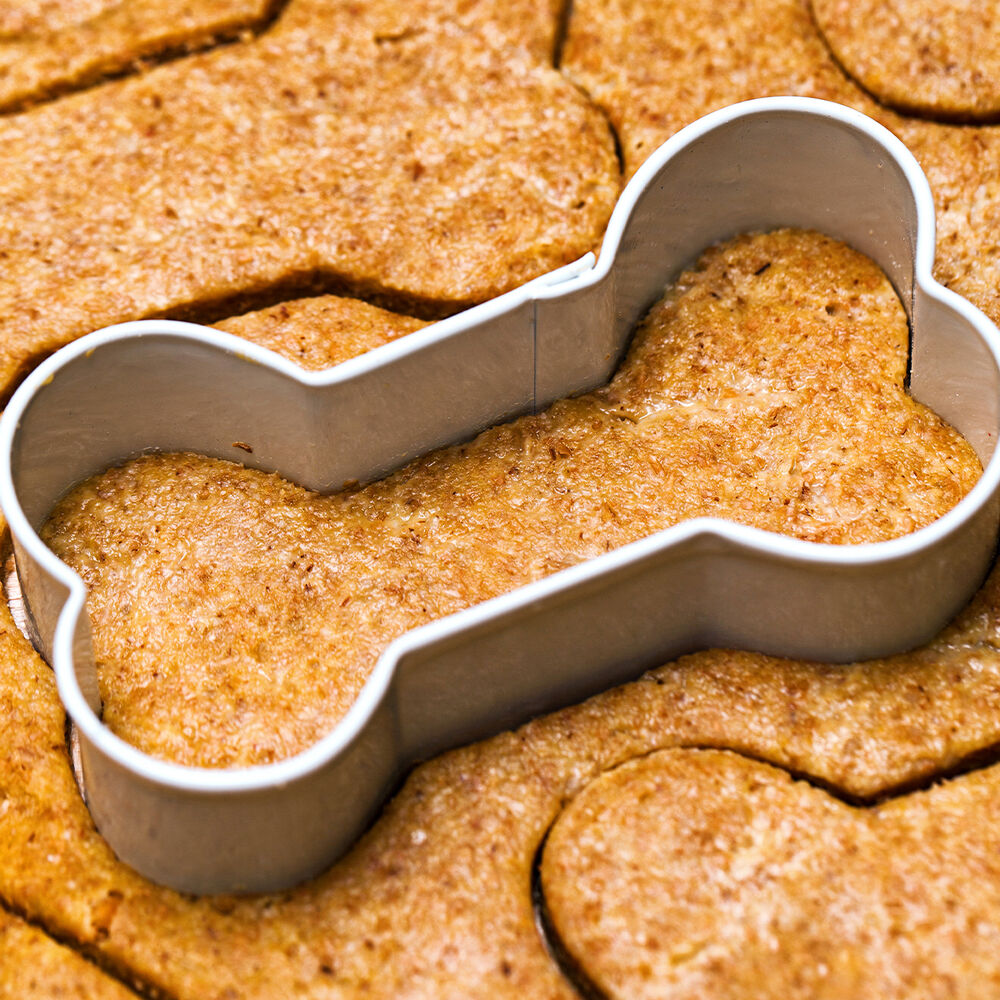 How to make Homemade Dog Treat Biscuits Going Evergreen