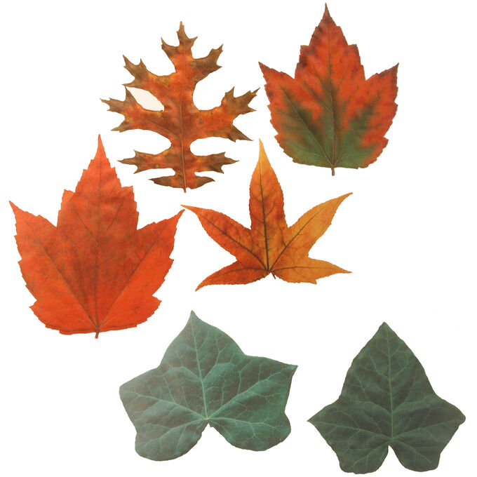 Parchment-Paper Leaves, Set of 20