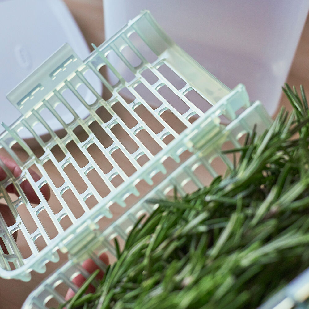 Oxo Greensaver Herb Keeper Sur La Table