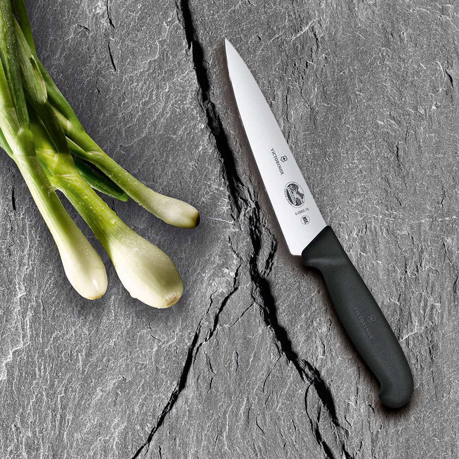 Victorinox Commercial Knives 2024 favors