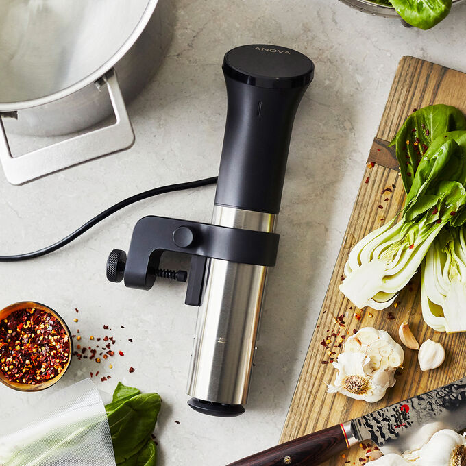 Anova Precision Cooker Sur La Table