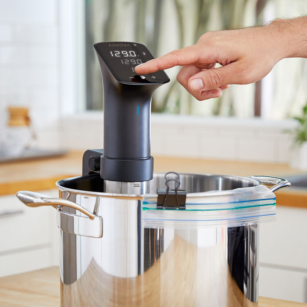 Anova Precision Cooker PRO Sur La Table