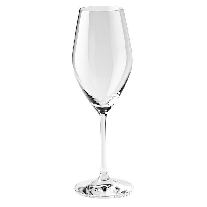 Zwilling J A Henckels Predicat Champagne Glasses 8 9 Oz Set Of