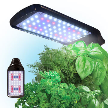 AeroGarden Sprout LED