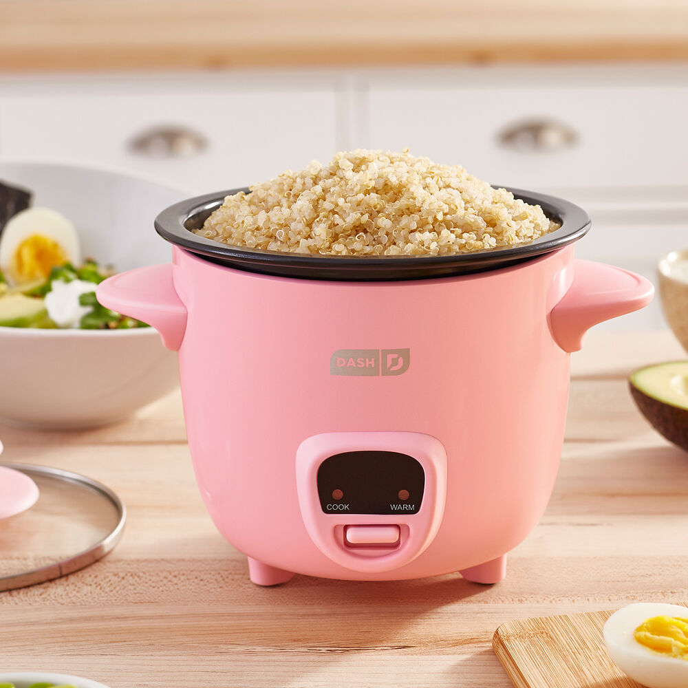 small rice cooker india