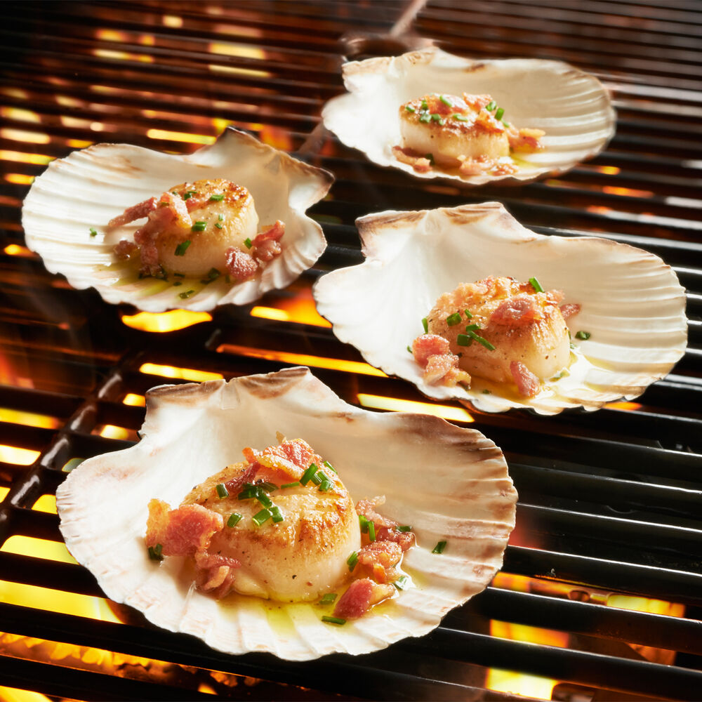 Sur La Table King Scallop Grilling Shells Set Of 4 Sur La Table