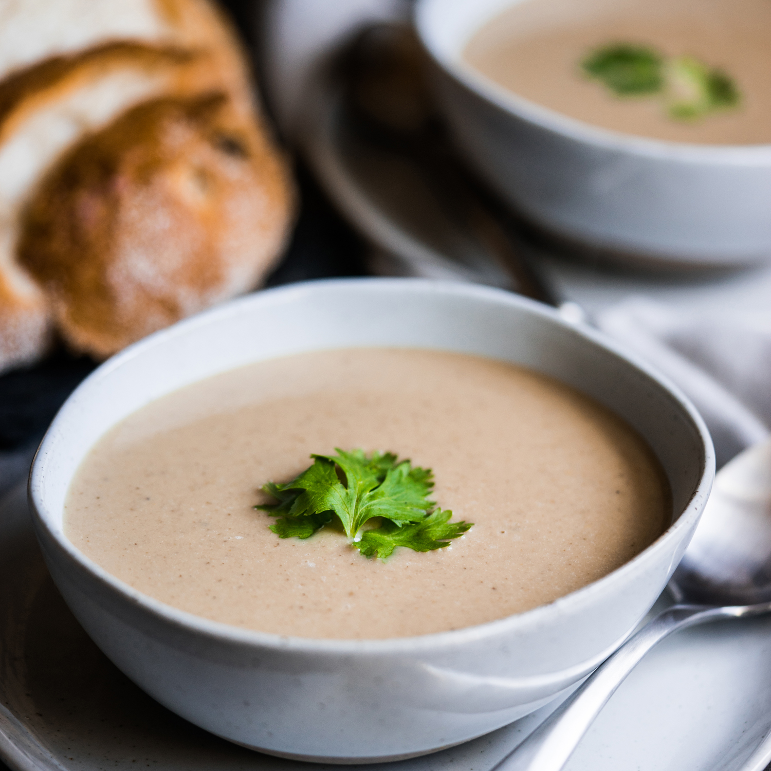 Wild Mushroom Soup with Sherry Recipe Sur La Table