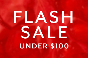 Doorbusters Flash Sale under $100