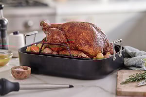 Thanksgiving turkey in roasting pan