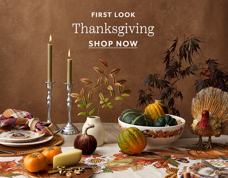 Thanksgiving first look linens and dinnerware. Shop now.