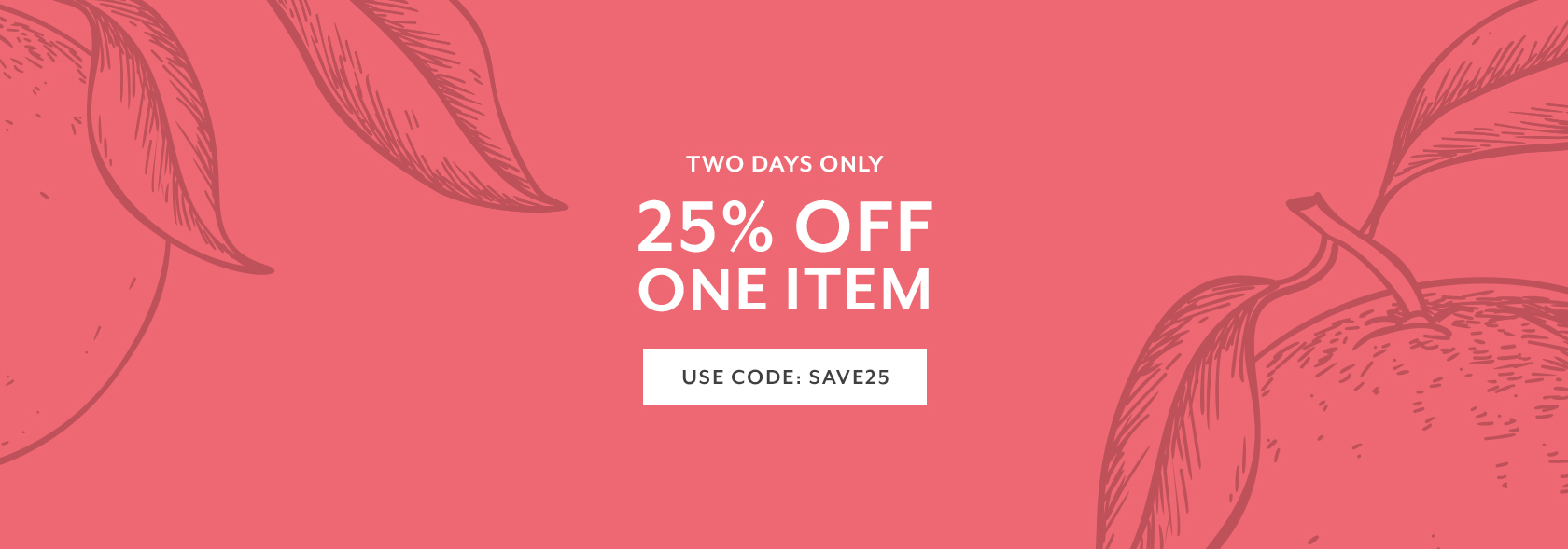 Two days only 25% off one item, use code SAVE25.
