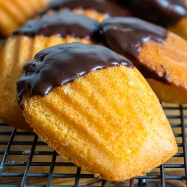 Orange Madeleines with Dark Chocolate Drizzle