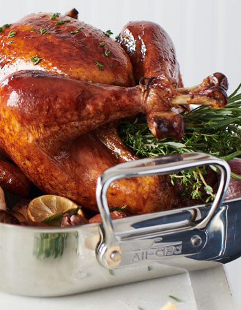 ALL-CLAD STAINLESS STEEL ROASTING PAN WITH RACK
