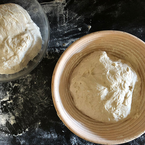 The Challah Bowl with Lid - Dough Riser - Proofer - Plastic Bowl with Cover/Lid - Extra Large 10 Liters - Can Fit 5lbs of Flour - Non Stick 