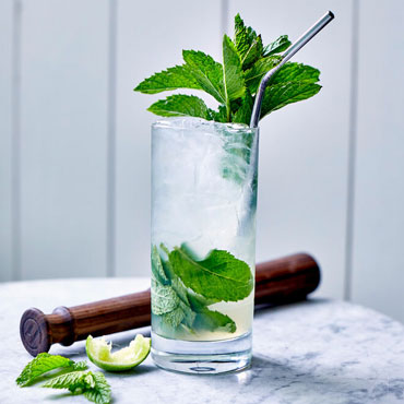 Mojitos cocktail in glass with fresh mint