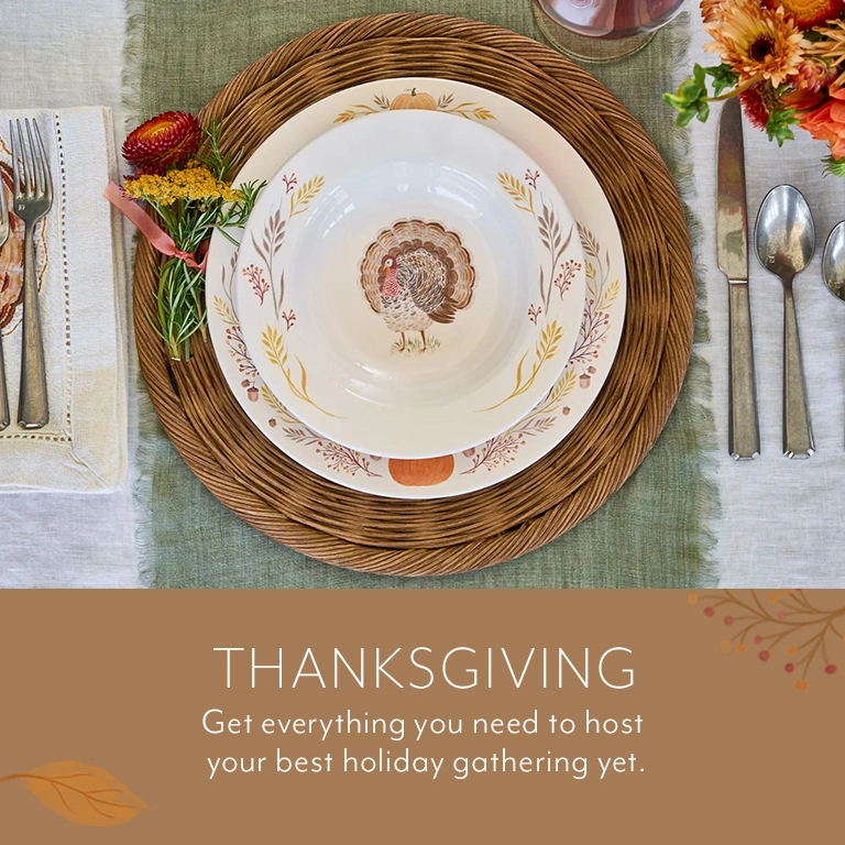 Thanksgiving dinnerware outlet