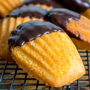 Chocolate Dipped Madeleines
