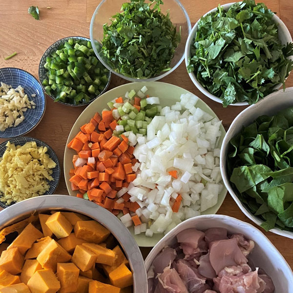 ingredients for Chicken and Kabocha Squash Stew